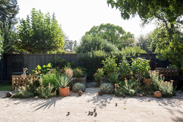 In a decomposed granite garden, a mix of edibles (in raised beds) and ornamentals including low-water perennials and succulents coexist happily. The impressive Agave parryi succulents flanking the center walkway “started as tiny babies” in the gravel. Photograph by Mimi Giboin.