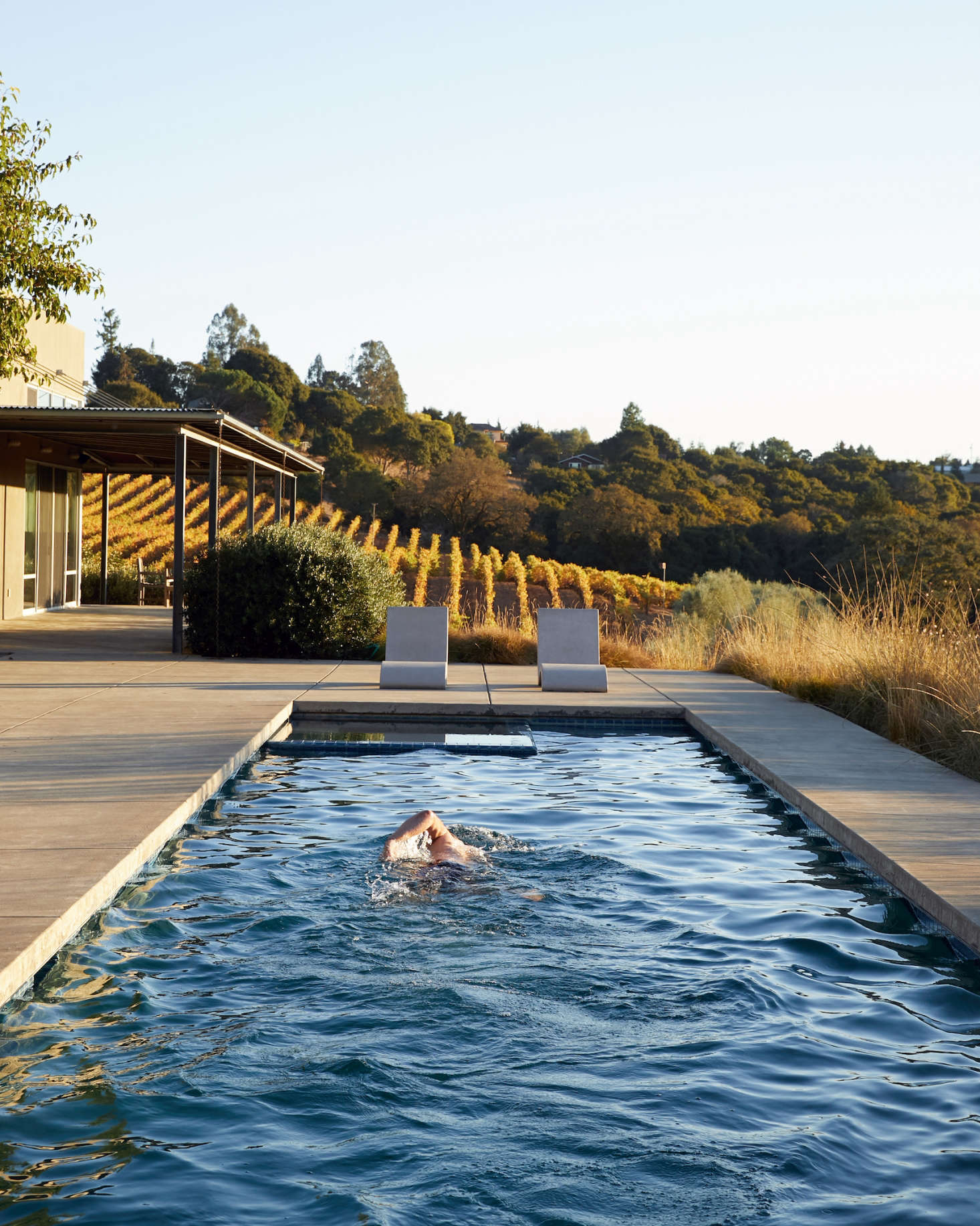 Estate owner Stephen Singer took a golden hour swim in mid October. 