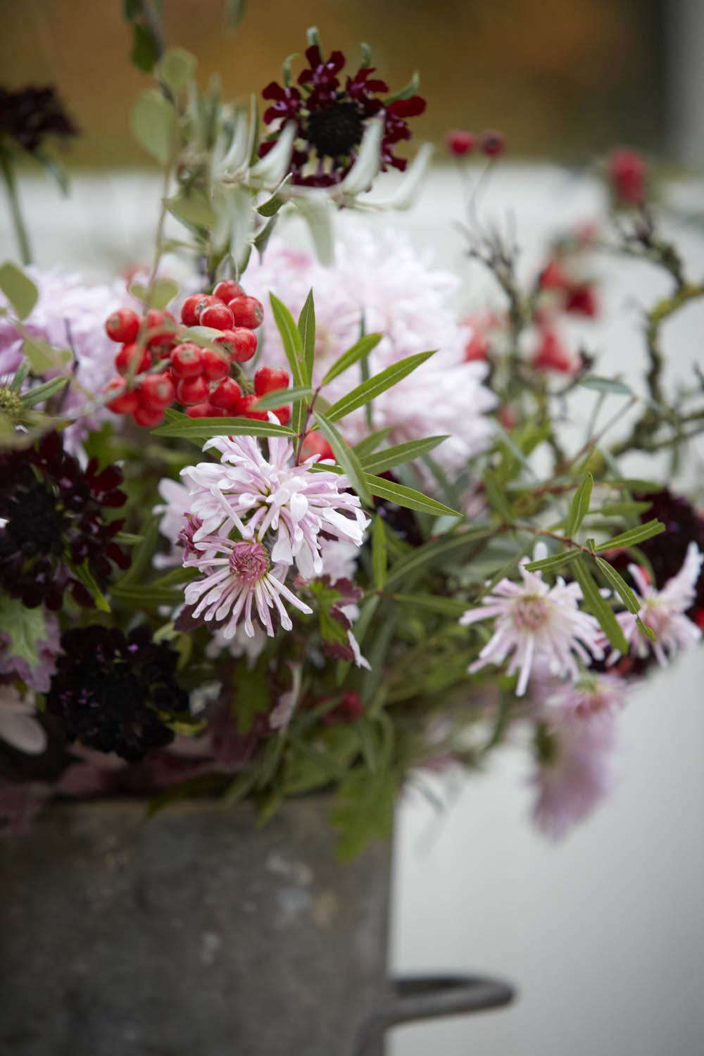 Crisp, pre-holiday colors in a galvanized bucket.