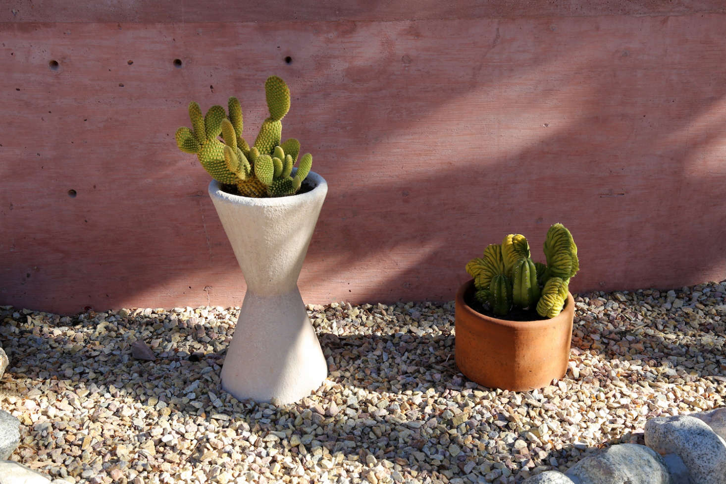 Photograph by Gillian Steiner for Gardenista, from Pretty in Pink: An Artist