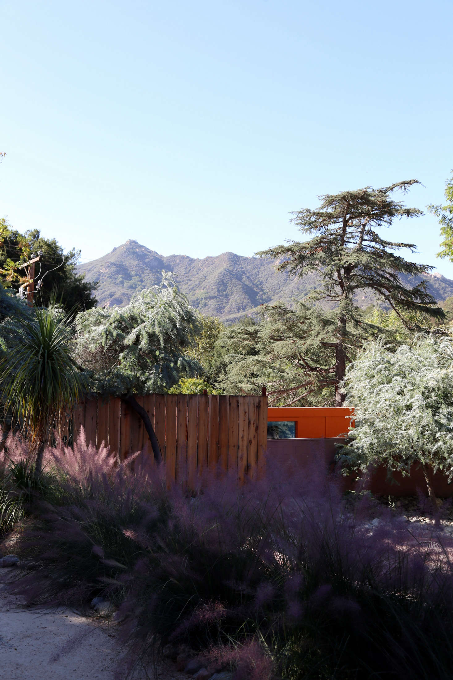 The center of the garden offers a prime view of the Santa Monica Mountains. The fence is made of rough-sawn redwood from Topanga Lumber.