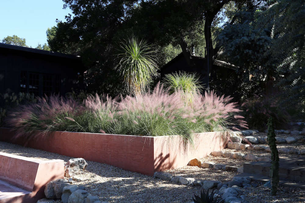 The gravel, called Palm Springs Gold, is one of Morgan