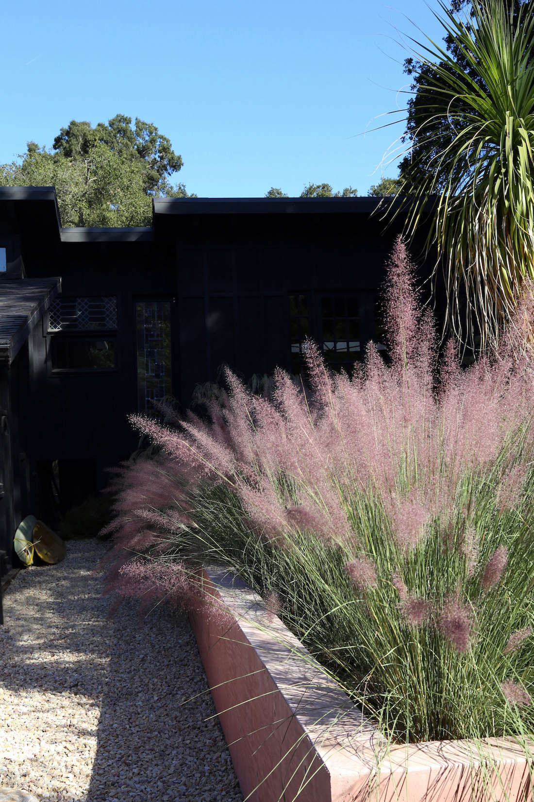 Pink muhlenbergia grass is the preeminent plant in the garden; it offers vibrant color during fall blooms.