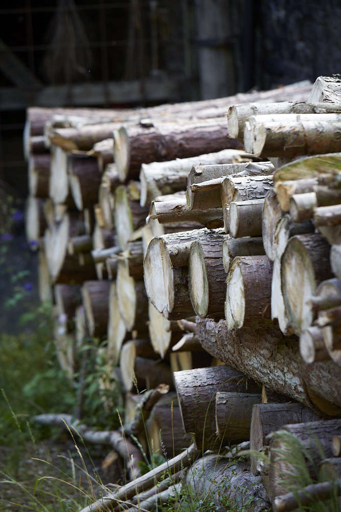  While a stack of wood can look picturesque against a house, some areas have fire regulations that prohibit this. As a woodpile is also by its nature a perfect habitat for rodents and insects, placing it close to the house isn’t wise. Instead the pile should be easy to access (no one wants to have to venture too far for logs in the winter) and if possible still with some protection in the lea of an outbuilding or garage.