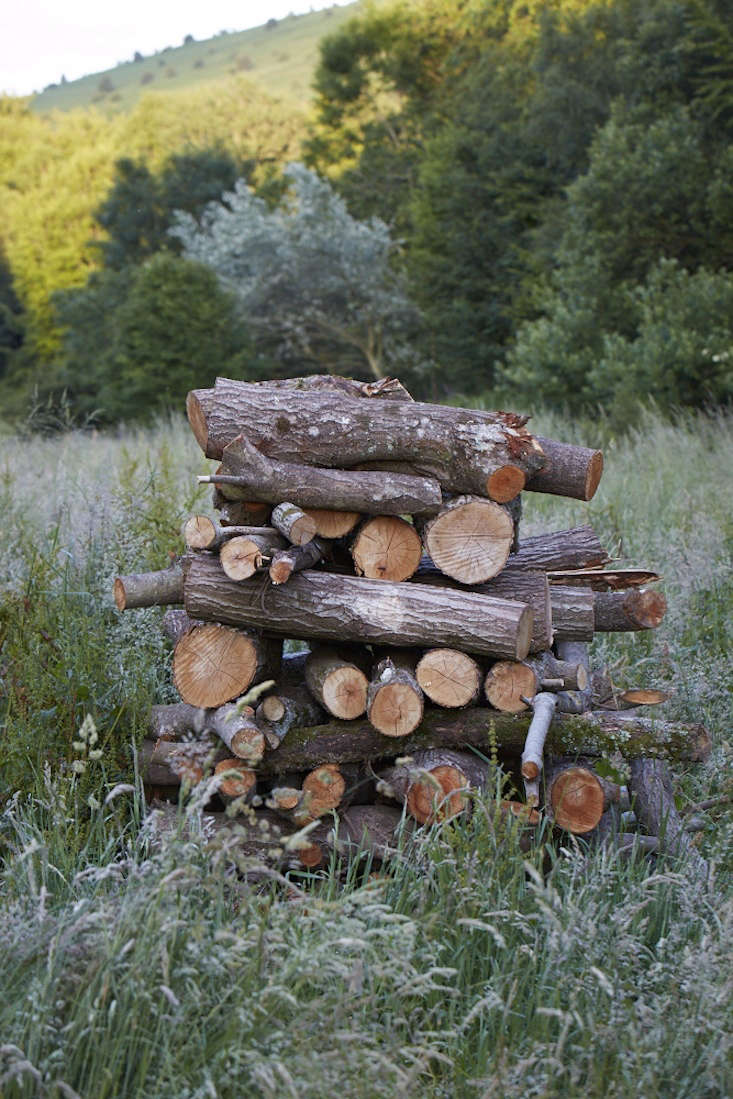  In most climates trees are felled in spring or even early summer and then dried in the open air before being chopped or stored in a wood shed or open stack over the summer or autumn. They will be ready to burn by winter.