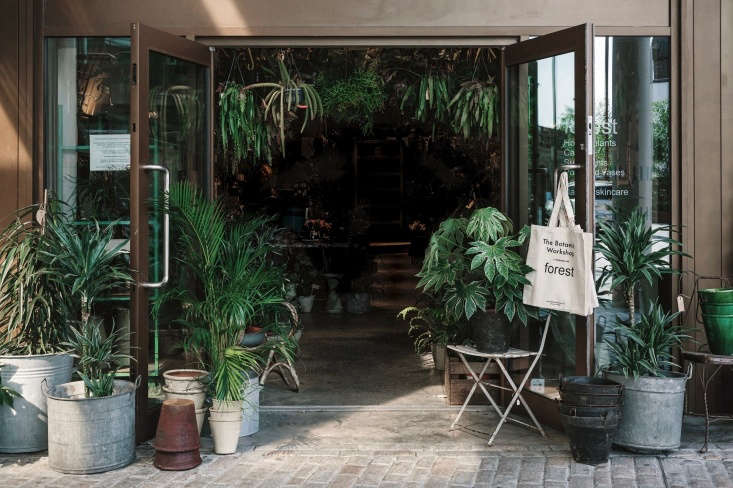  Fran was originally looking for a workspace for her thriving floristry business, but as the original site is so close to a bustling shopping area she added some plants, pots, accessories and antiques. “But then,” says Fran, “The plant thing went boom.”