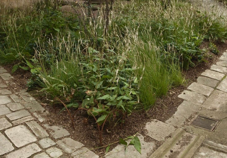  The Great Fire of London was halted at the Temple. Solid paving stones were added as a further precaution to all the walks, with those at Hare Court dating from this time.