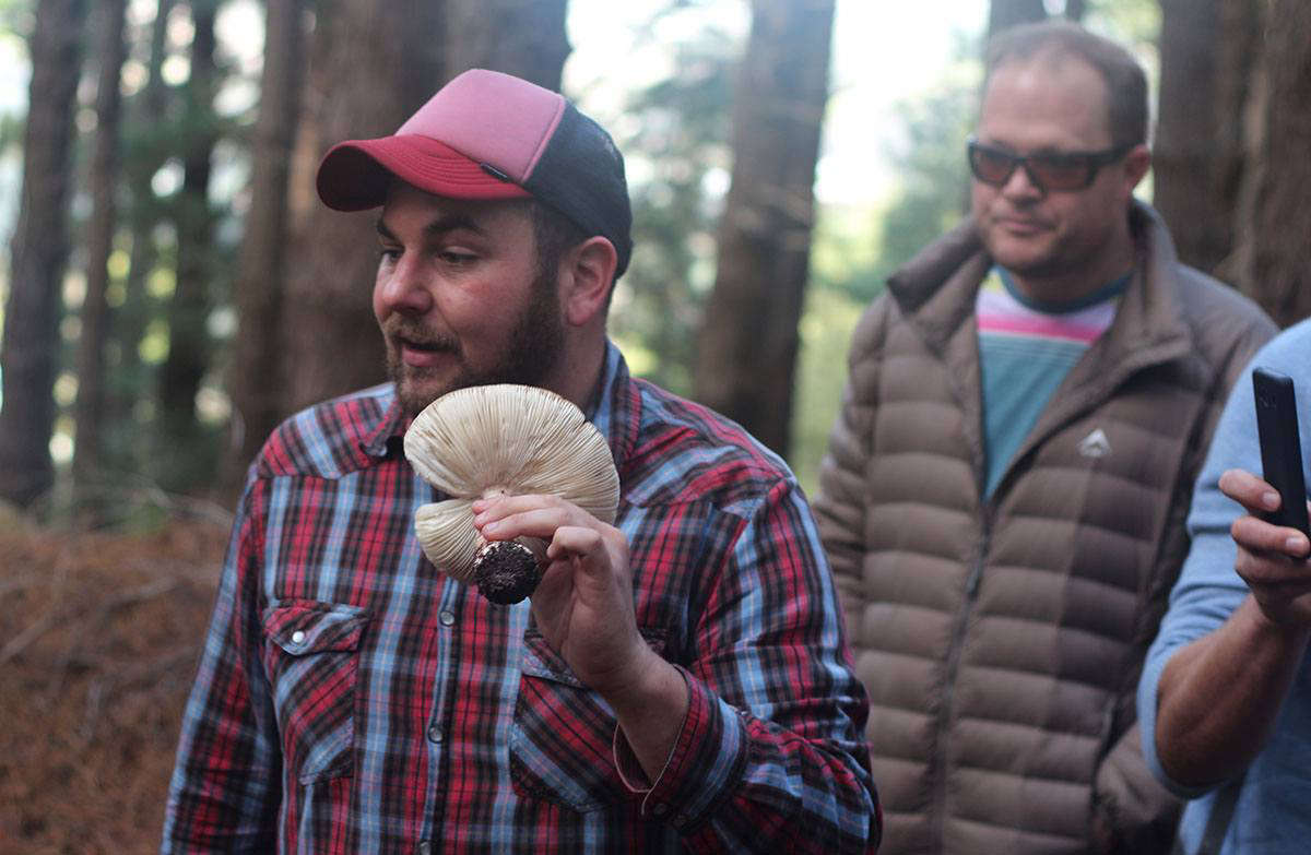 The mushroom forager, Justin Williams, by Marie Viojoen