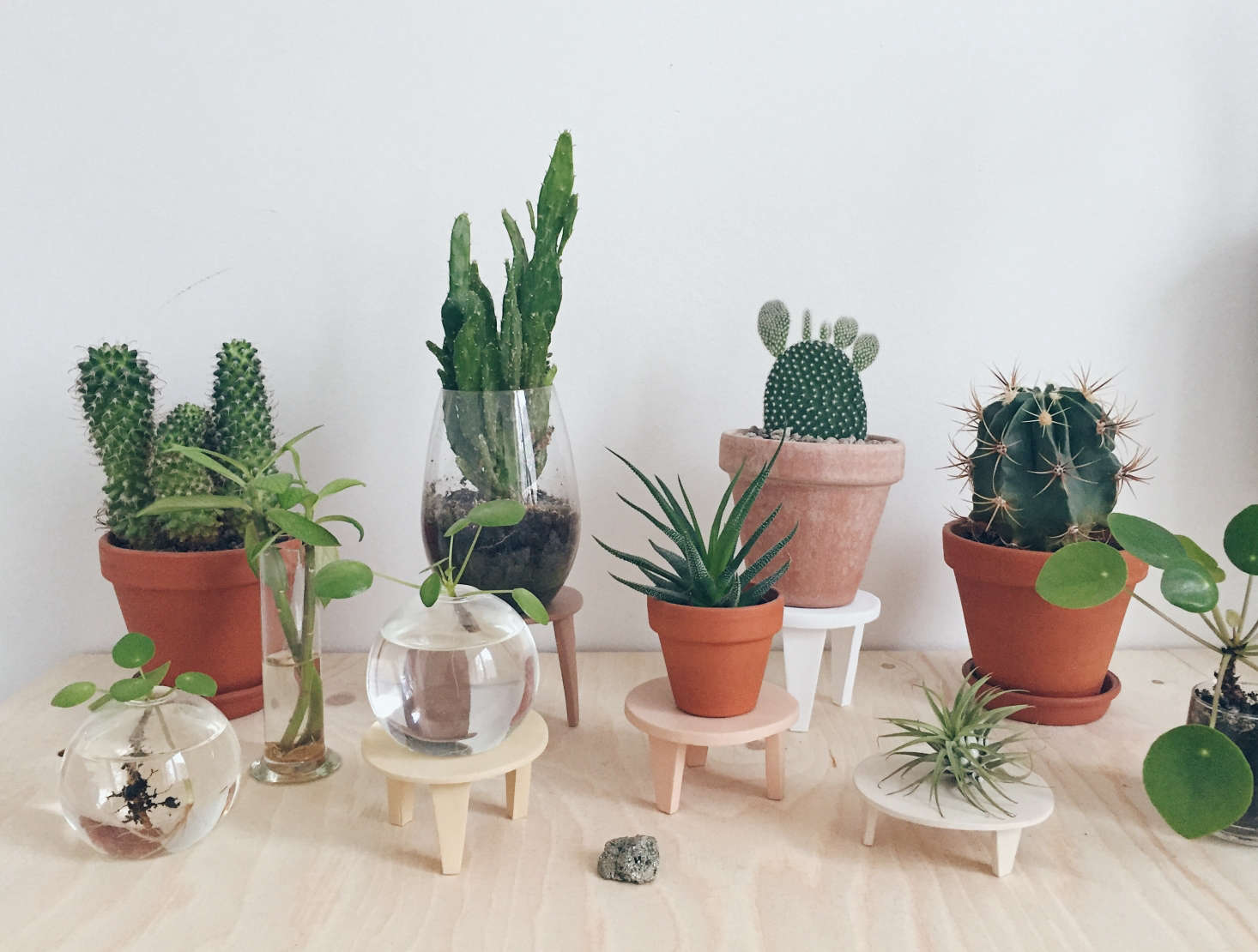 To vary the heights of her potted plants, Maria fashioned 