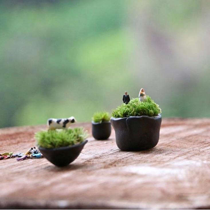 A collection of open-air narrative terrariums by Mossimoto.