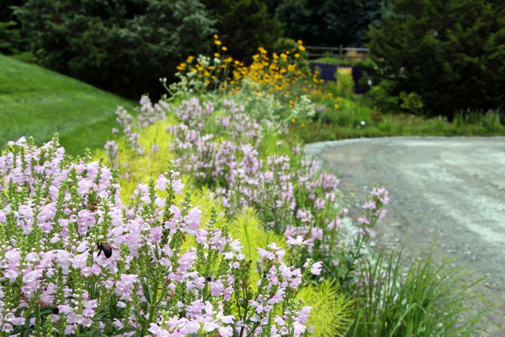 Thomas Rainer Planting Unconventional Wisdom: 8 Revolutionary Ideas for Your Garden from ...