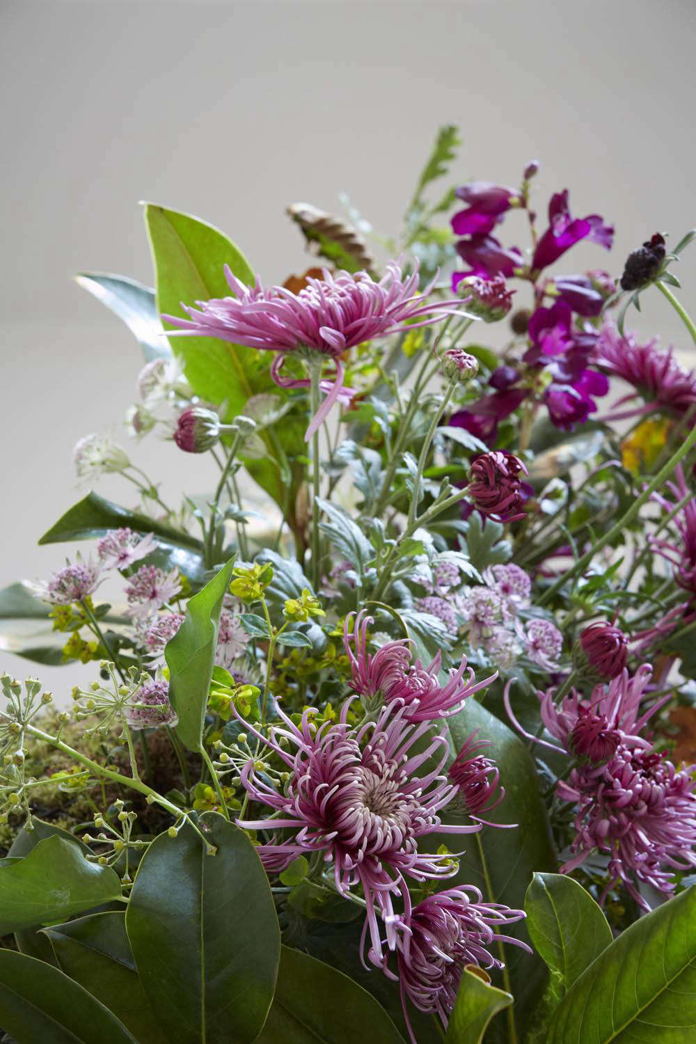 A late autumn bunch that includes Chrysanthemum 