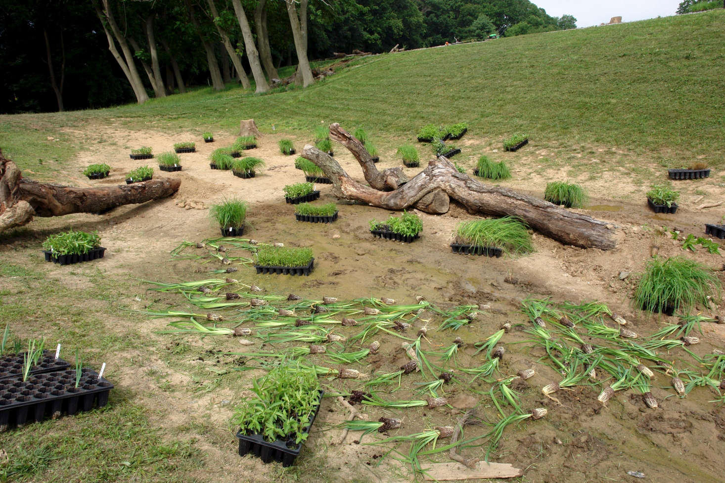 Thomas Rainer Planting Unconventional Wisdom: 8 Revolutionary Ideas for Your Garden from ...