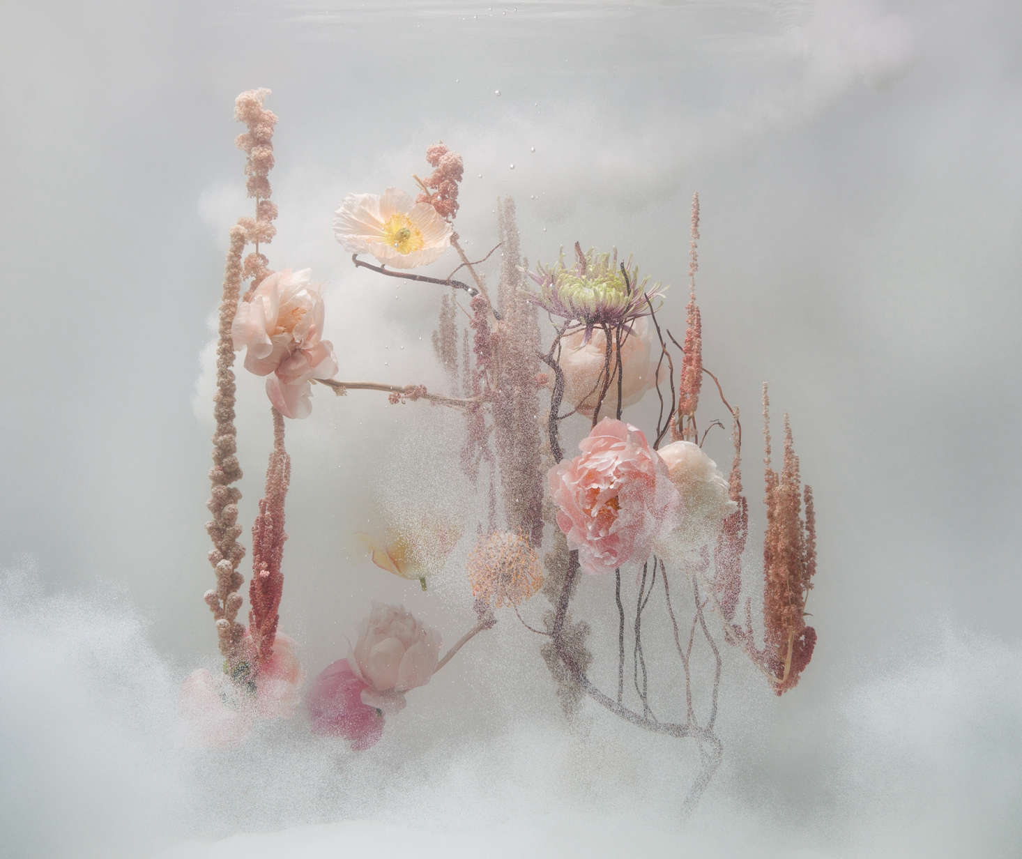 A piece from Anne ten Donkelaar