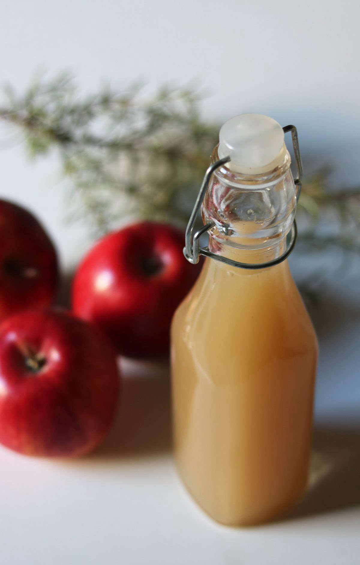 Festive Recipes Apple Cocktails for the Holidays Gardenista