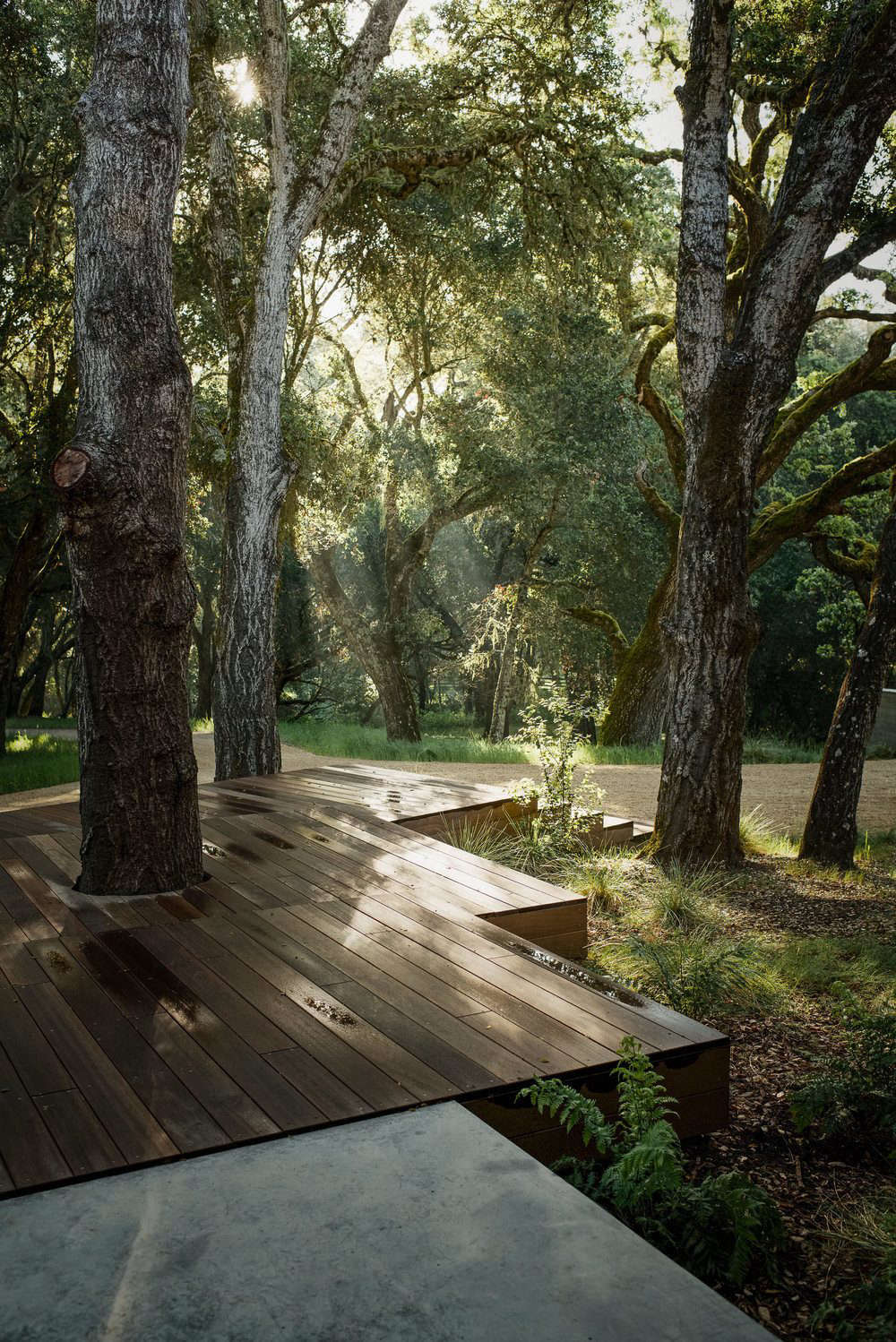 Photography by Joe Fletcher courtesy of Sagan Piechota Architecture. See more in Landscape Architect Visit: The California Life, in Carmel Valley.