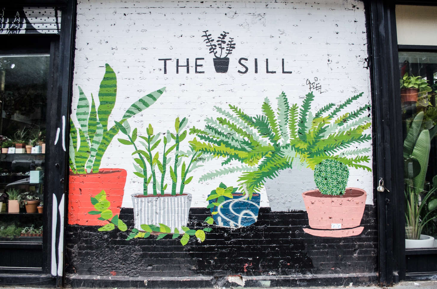 The Sill