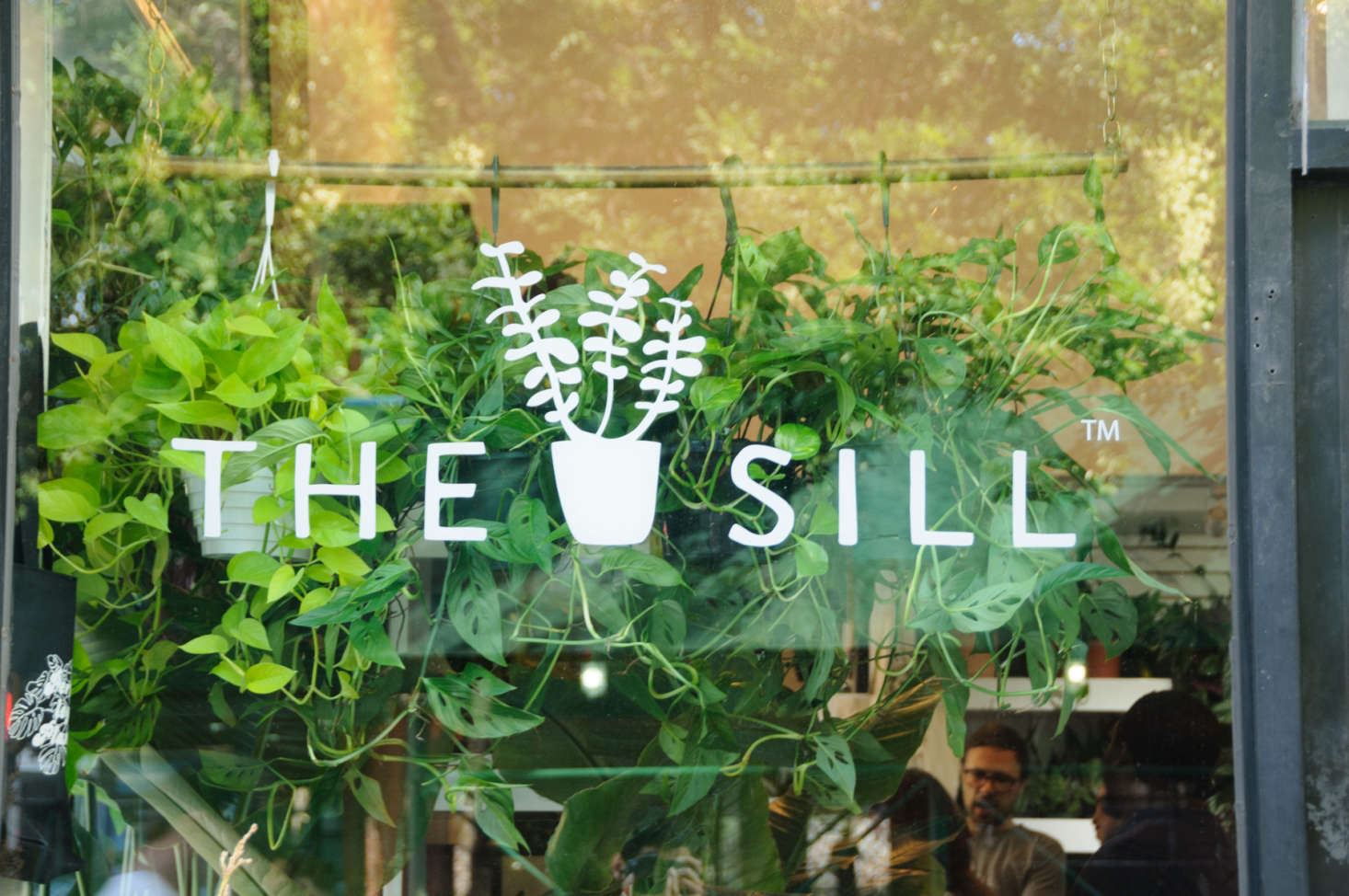 In addition to potted plant deliveries, The Sill provides plant design and maintenance services to companies in NYC and LA. Blank plans to next offer balcony and window box plants.