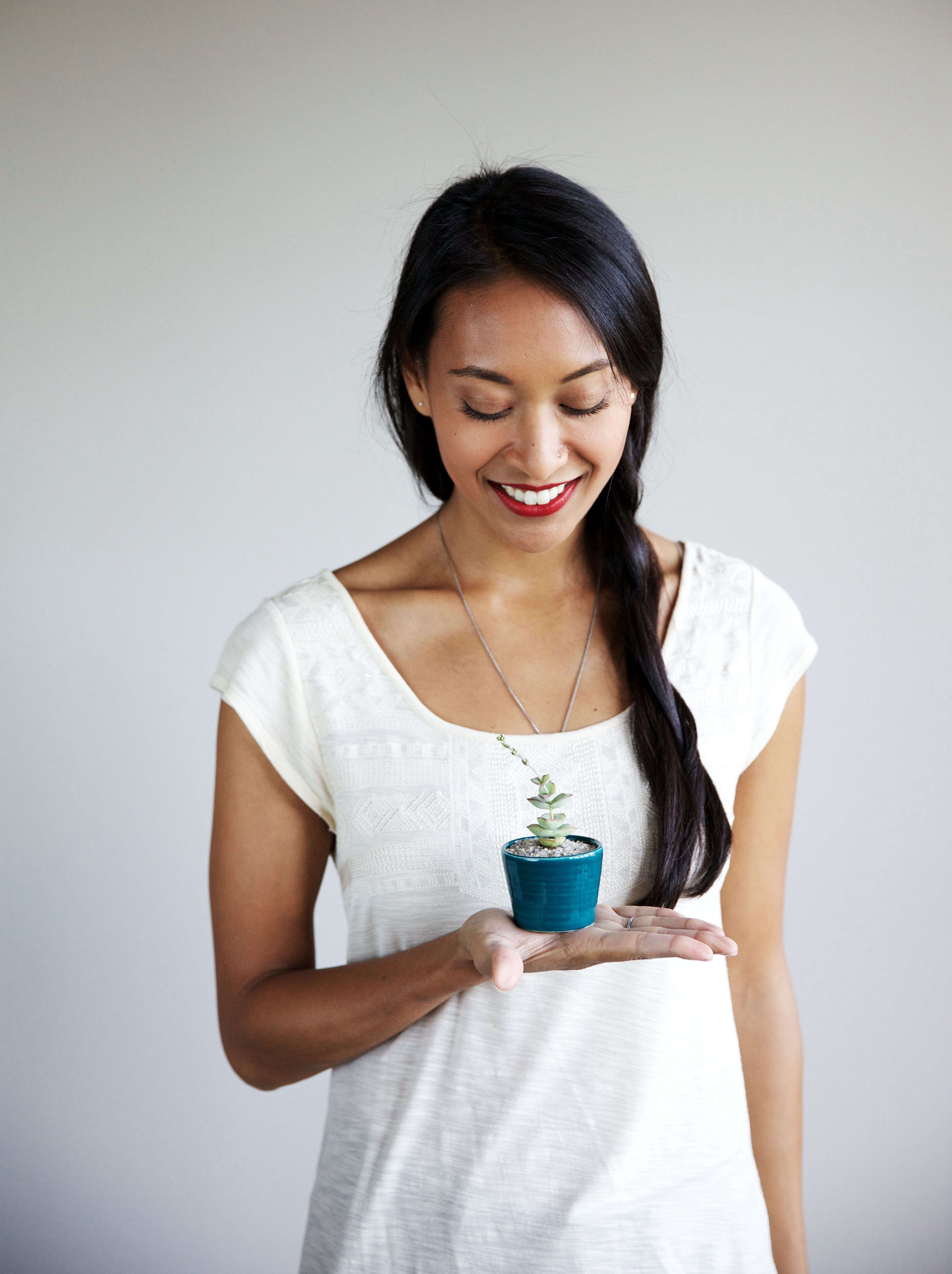 Easy houseplants and indoor plant care advice from The Sill in NYC.