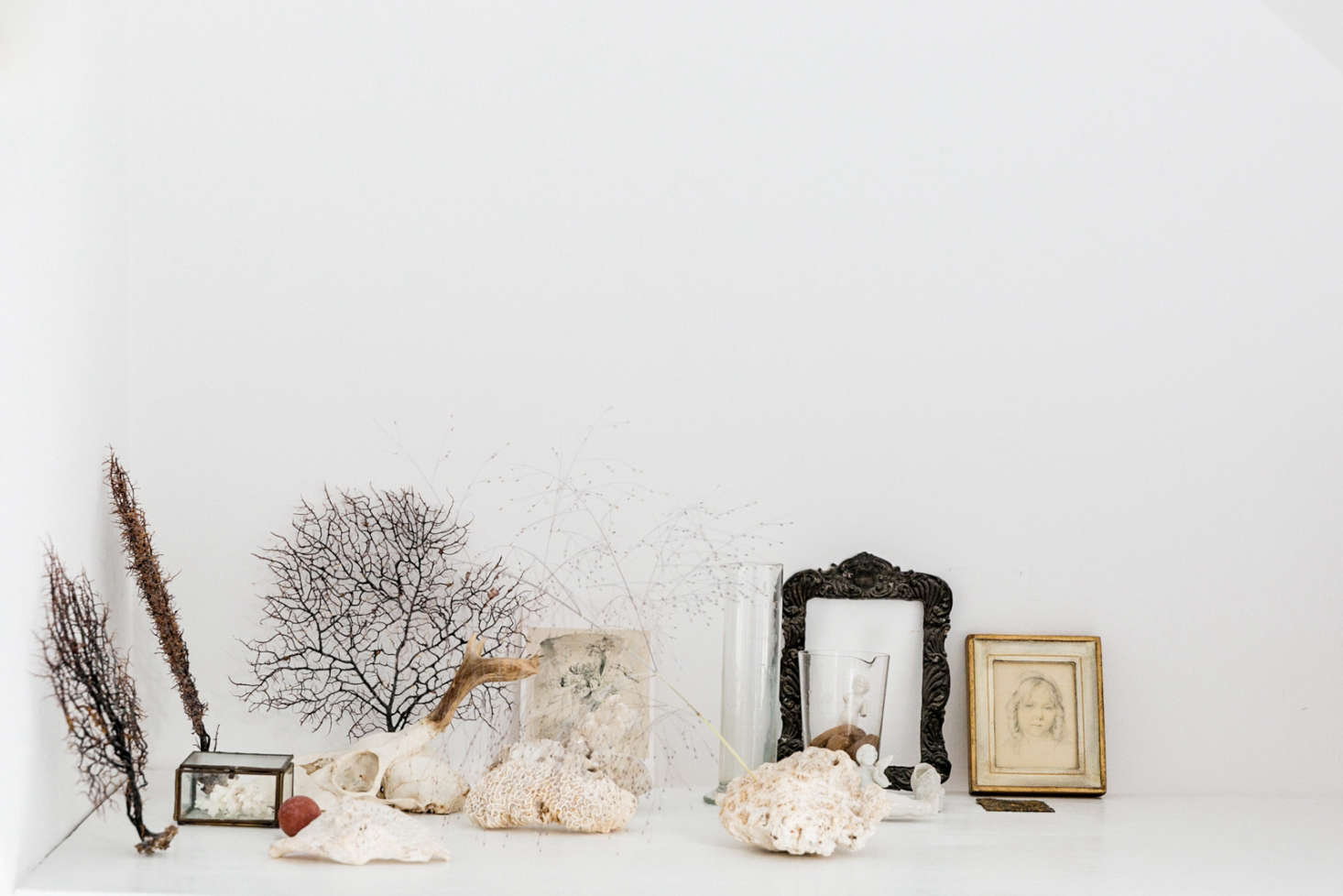 Still life with shells; vignette by Yasuyo Harvey. See more at The Botanical Life: At Home with London Stylist Yasuyo Harvey. Photograph courtesy of The Modern House.