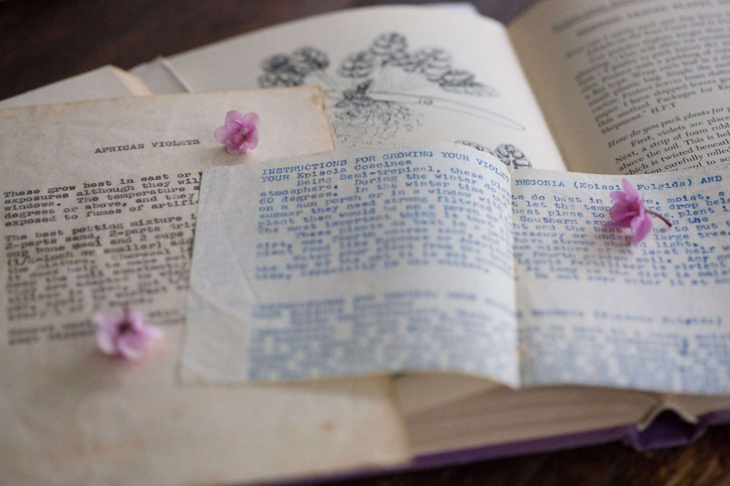 Photograph by Minmi Giboin.