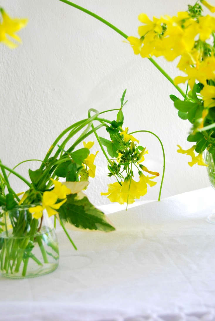 In the larger glass vases, I start by gathering a handful of the flowers and leaves into one side of the vase, with another handful on the other.