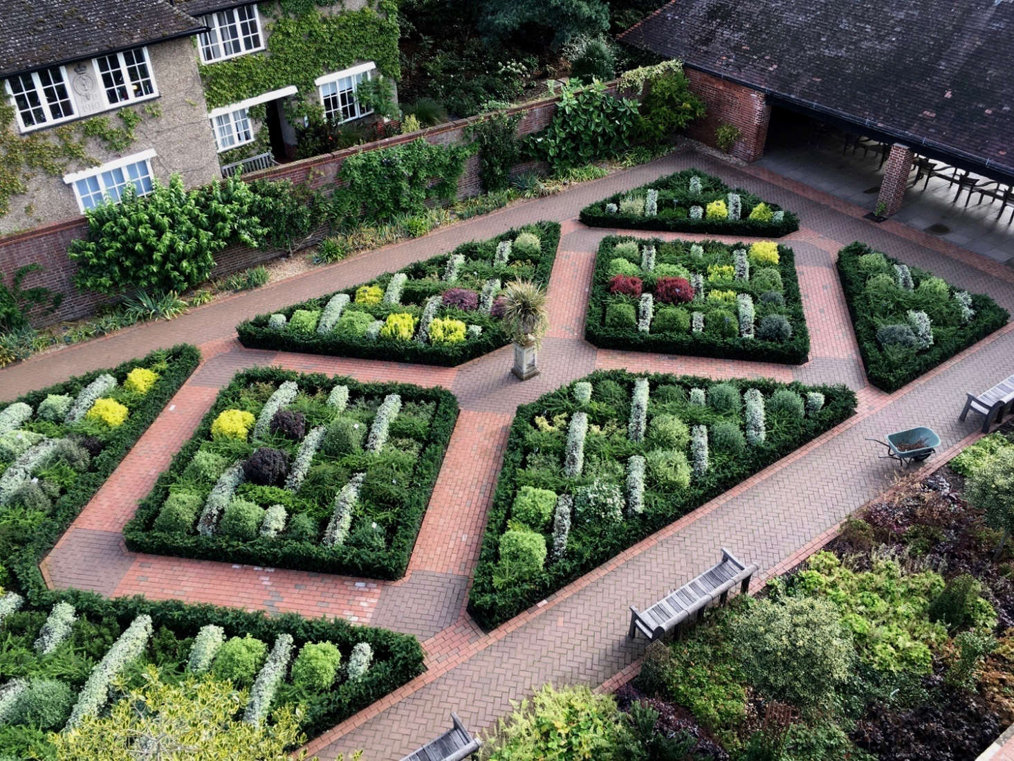 The trial garden shimmering in August. Photograph by Sean McDill courtesy of Royal Horticultural Society.