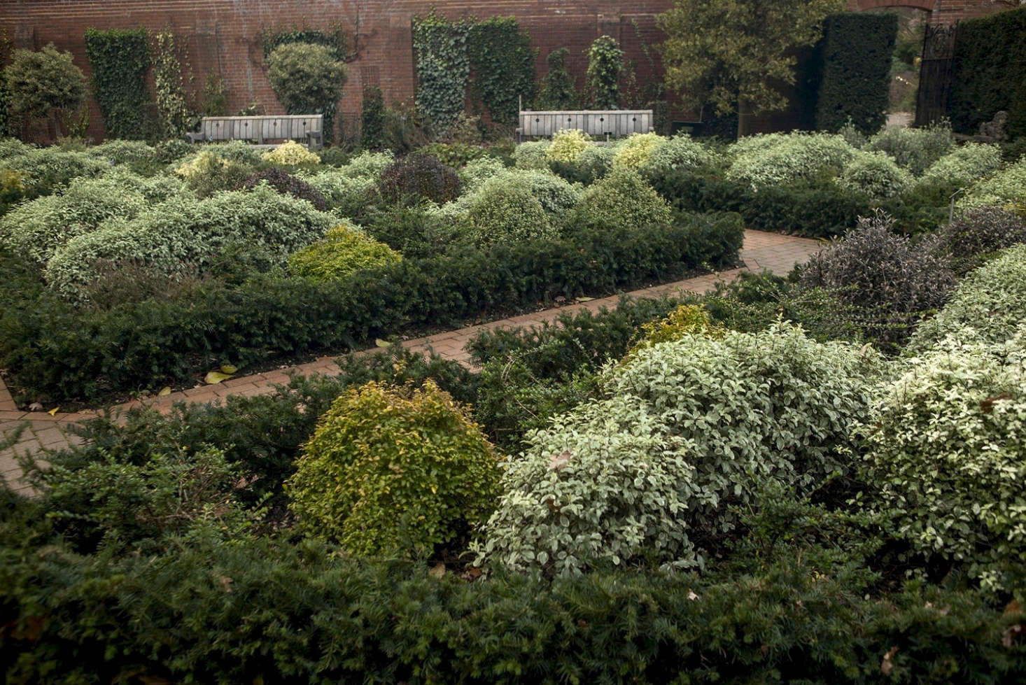 Above: The most surprising discovery was that a walled garden, divided into beds of low hedging, could be so lively and colorful in winter.
