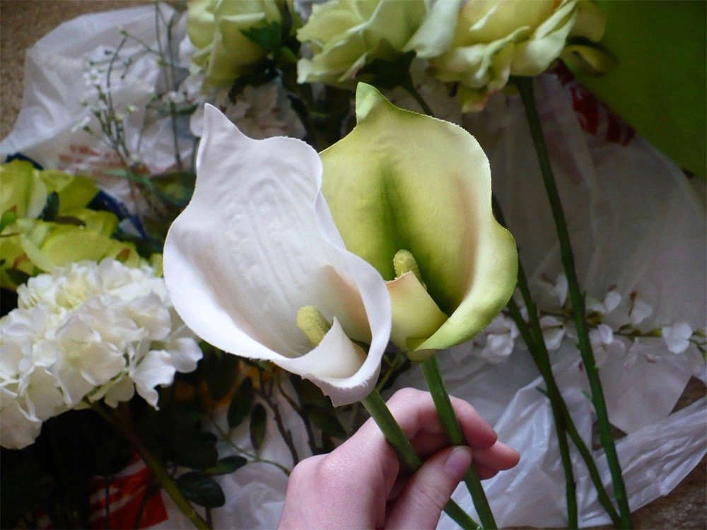 Photograph by Marajane0data-src=