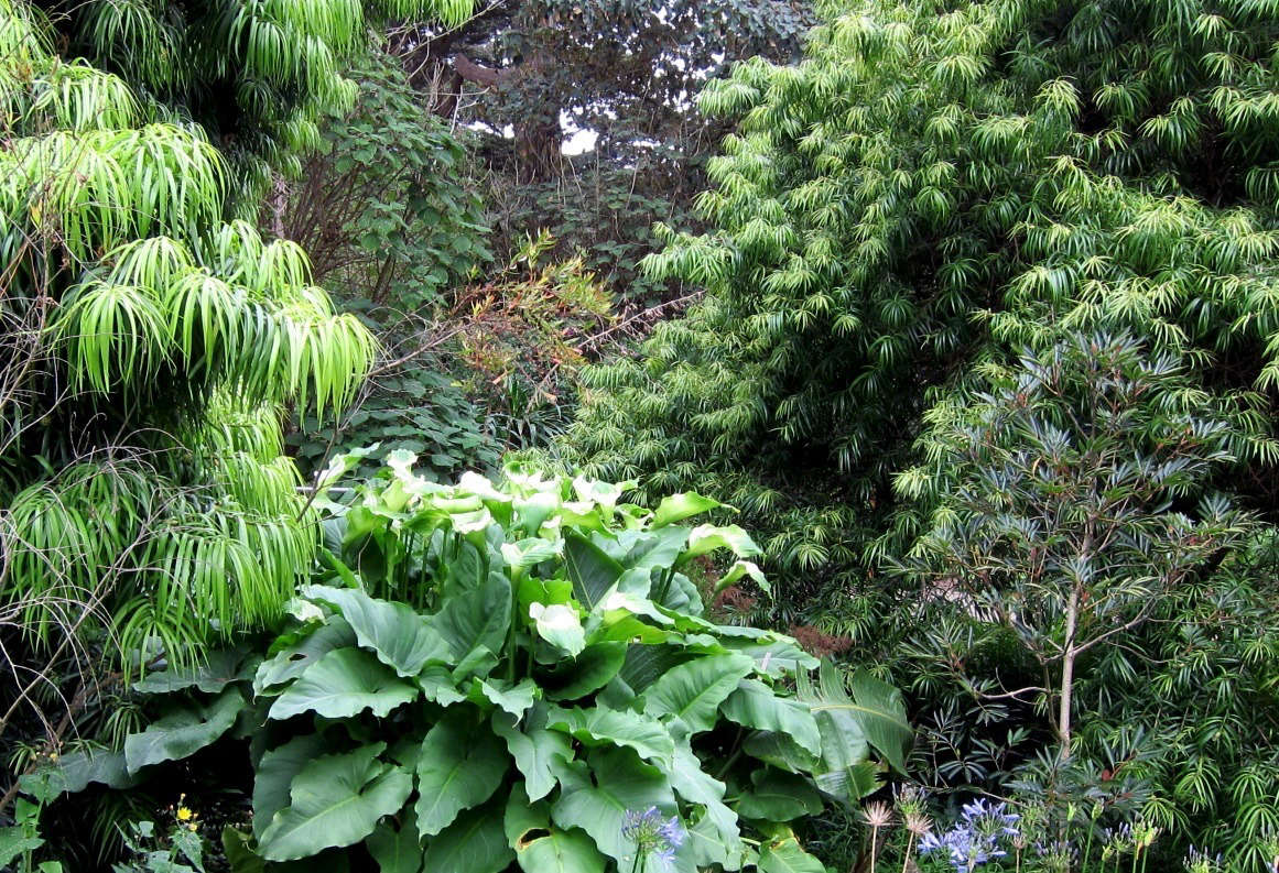 Photograph by Cultivar4 via Flickr.