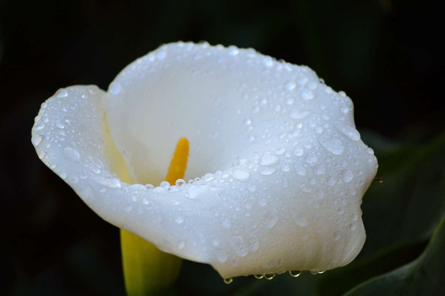 Photograph by Jdmoar via Flickr.