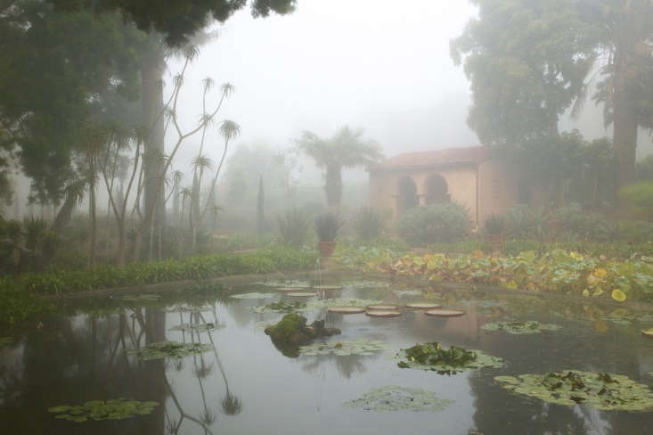 The Water Garden at Lotusland, with floating Asian lotus Nelumbo nucifera, national flower of India and Vietnam.