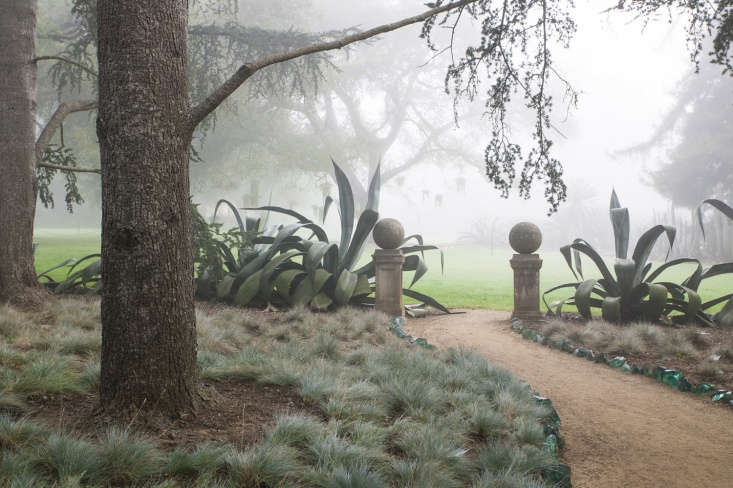 In the Blue Garden, chunks of blue-green glass separate the pathway from blue fescue, Festuca glauca, beneath blue Atlas cedars.