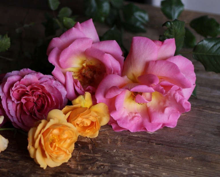 Expert Advice 8 Best Garden Roses for Cutting, from a Boutique Grower