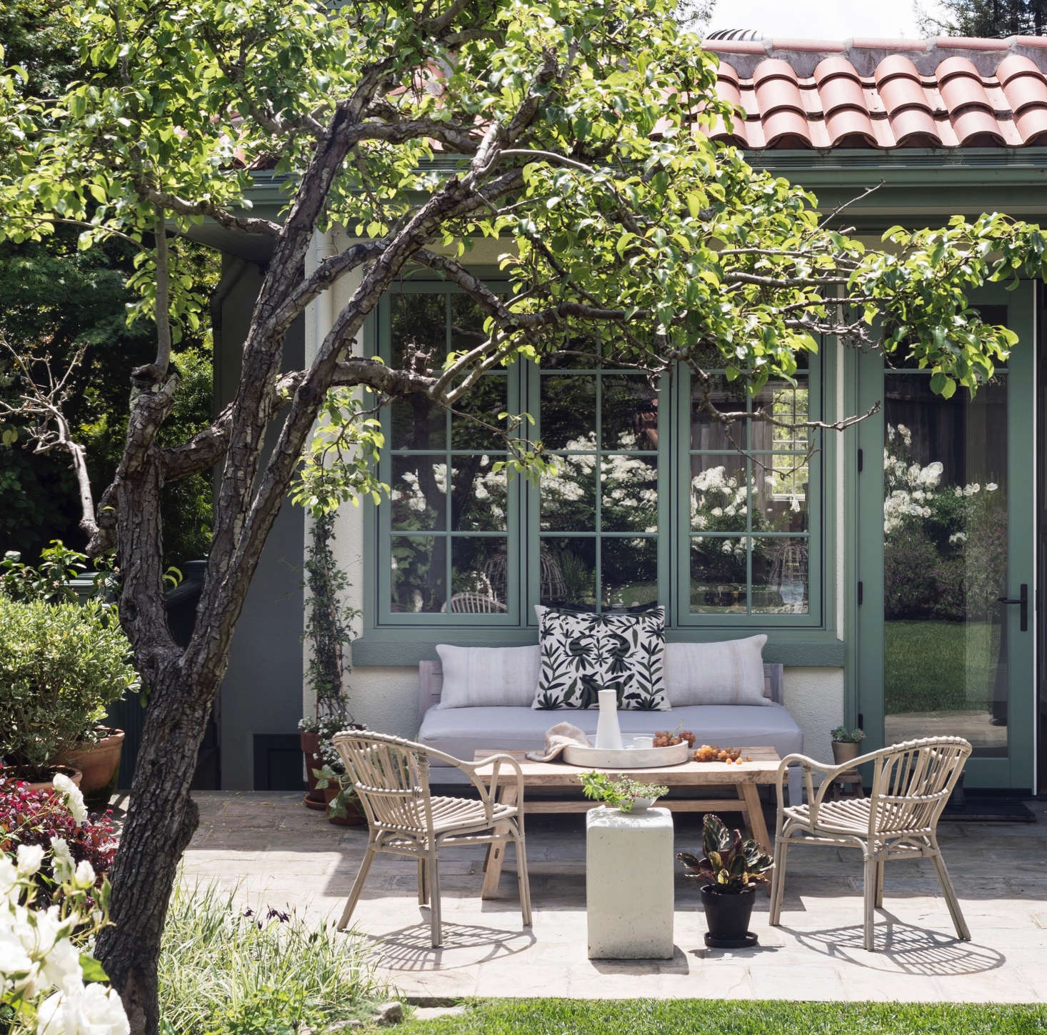 A low sofa sits beneath the height of the window panes on my Mill Valley, California house. From indoors, I have an unobstructed view of the back garden.
