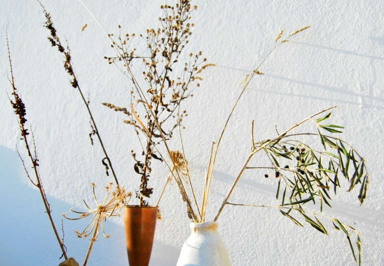 Chelsea Fuss, Author at Gardenista