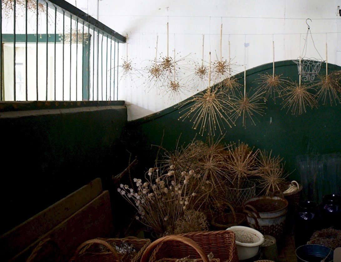 Dried alliums hang from the rafters in a UK stable. Photograph by Britt Willoughby Dyer. See more in Bayntun Flowers: Florist Polly Nicholson’s Walled Garden in Wiltshire.