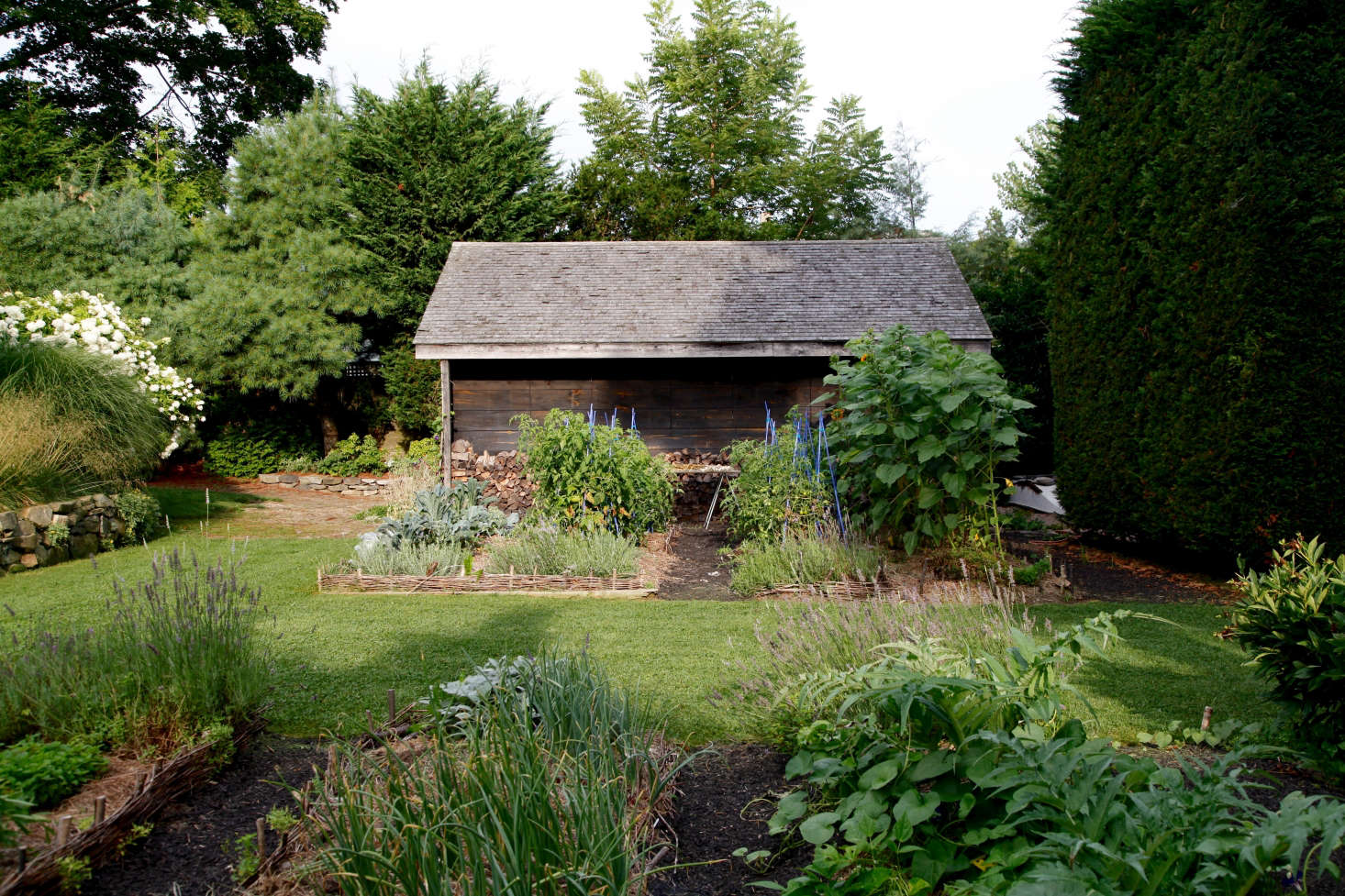 Photograph by Christine Chitnis for Gardenista. For more, see Garden Visit: At Home in Rhode Island with Painter Georgia Marsh.