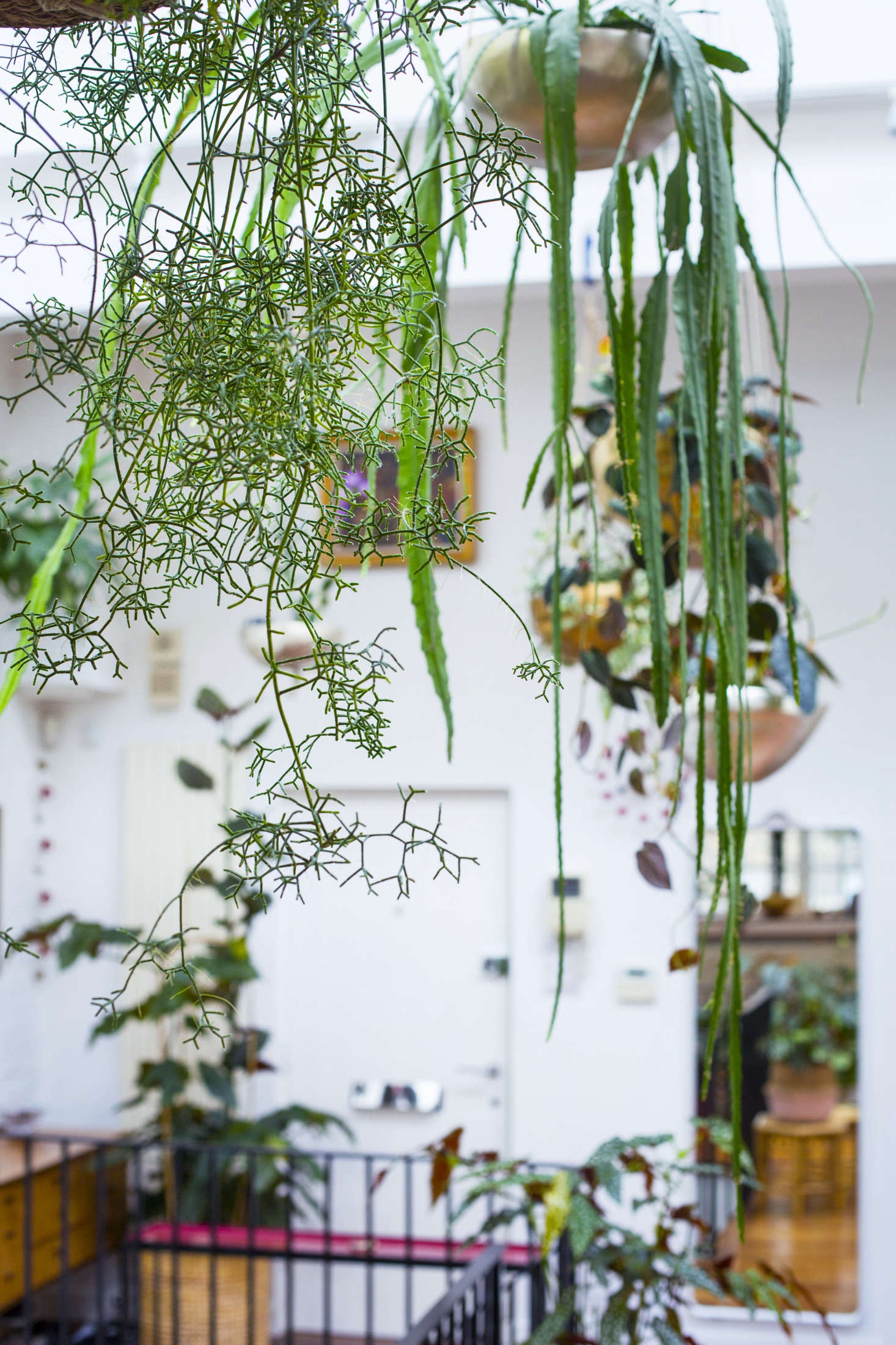 Song made DIY hanging planters by drilling holes in fruit bowls designed by Tom Dixon. For a similar look, consider a Tom Dixon Large Brass Vessel (drainage holes not included); $460 at Saks Fifth Avenue.