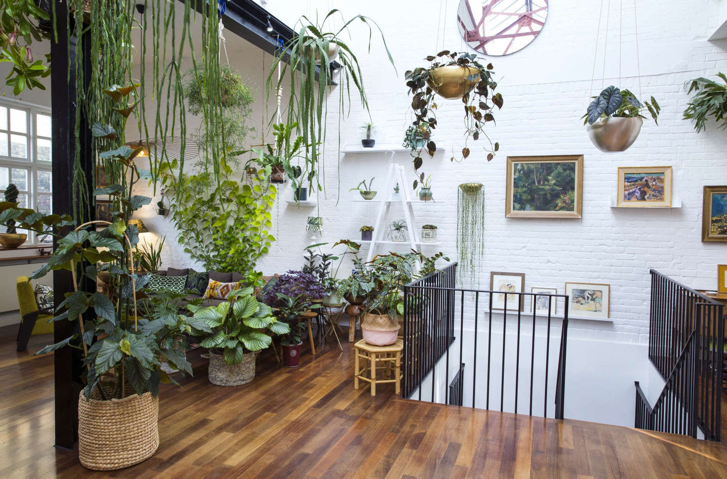 Bright light and good air circulation make his place nirvana for a whole range of houseplants, from the delicate trailing stems of Hoya linearis and Rhipsalis to the glossy foliage of calatheas and philodendrons.