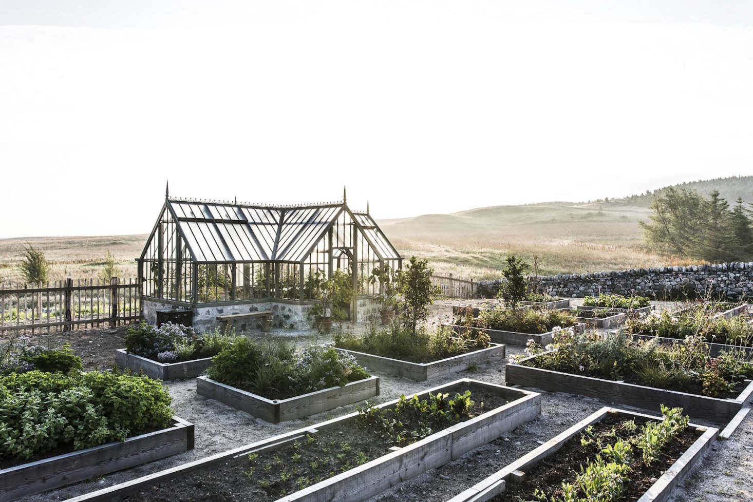 Killiehuntly has a large organic garden, bordered by a fence and low stone walls, with rows of raised beds for fruits and vegetables. The produce supplies daily meals in summer and fall, and the kitchen draws from its larder in the winter and early spring.