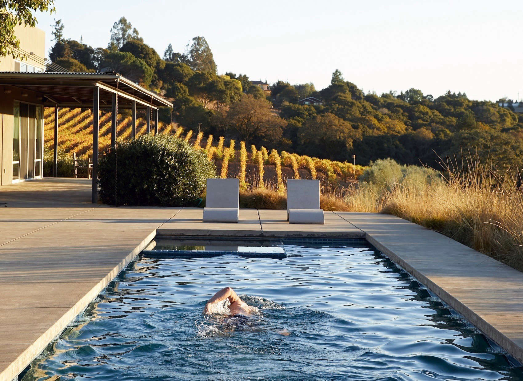 Swimming Pool Of The Week A Lap Pool Above The Vines At Baker Lane Gardenista