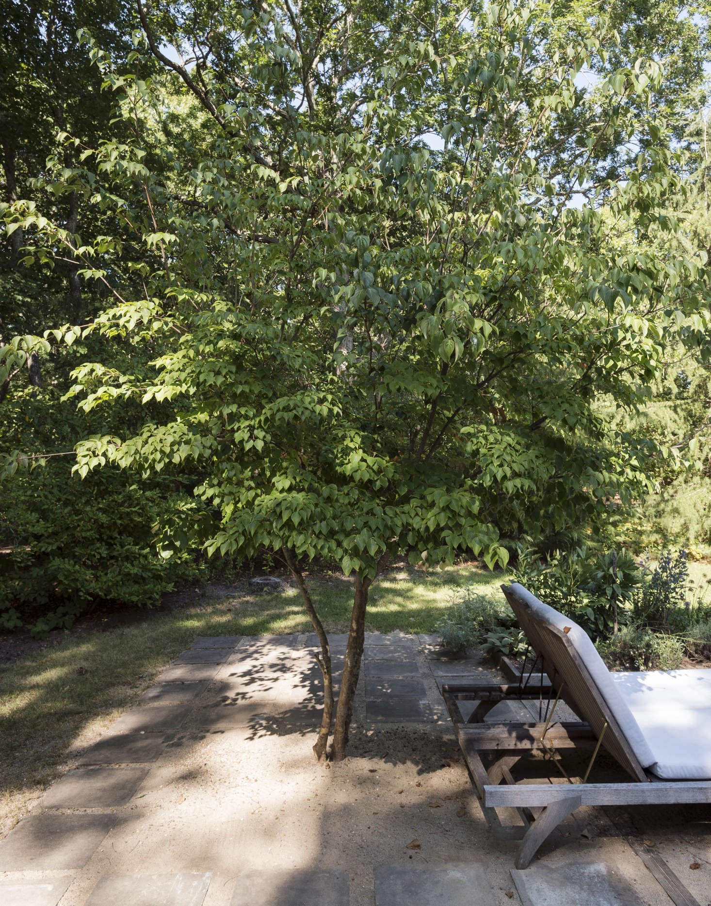 A patio of concrete pavers set in decomposed granite creates a sense of enclosure for an outdoor room on Shelter Island, New York.