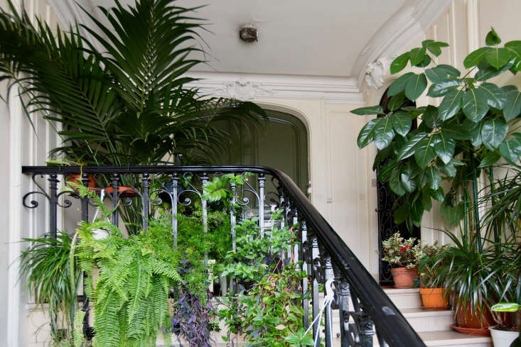 Create a living wall using the balusters as a framework.