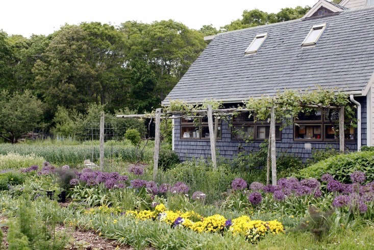Photograph by Christine Chitnis for Gardenista. For more, see Boston