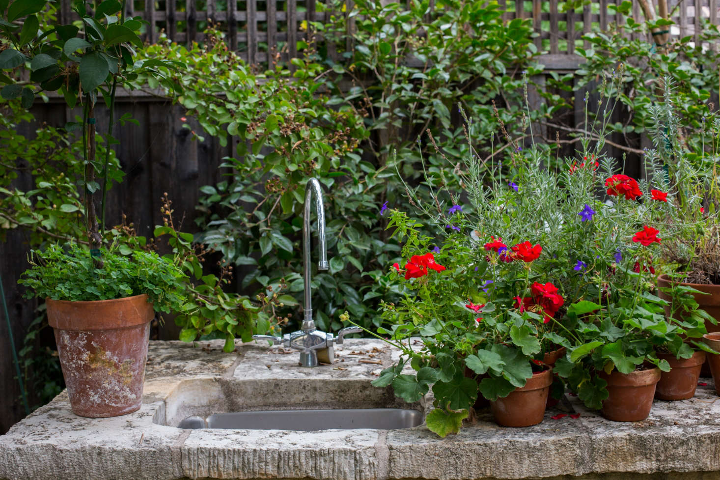 Photograph by Mimi Giboin for Gardenista. For more of this garden shed, see Outbuilding of the Week: A Salvaged Shed in a Napa Garden.