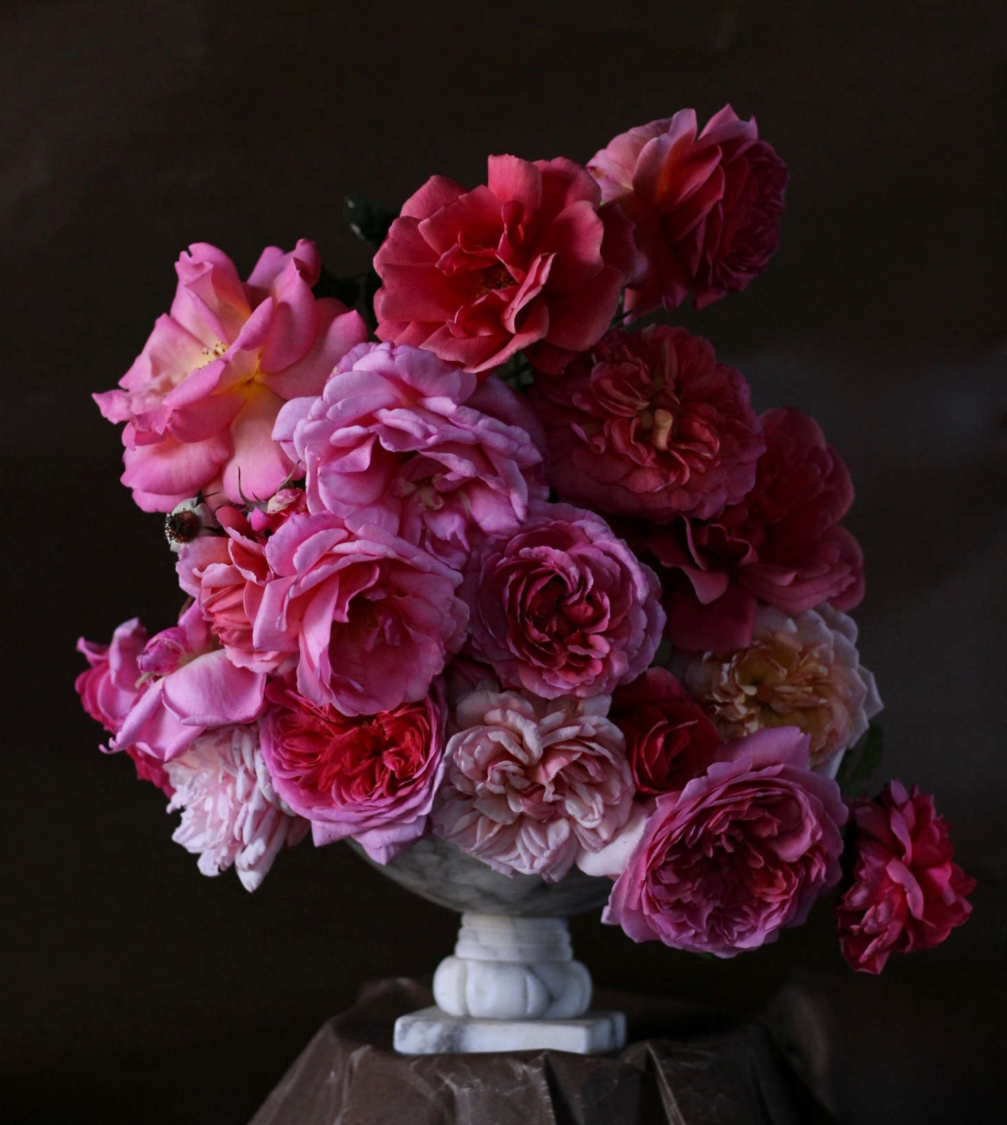 My selection of deep and light pinks including (clockwise from upper left): ‘Climbing Shot Silk’ with a yellow center, ‘Tiffany’ at top, and ‘Christopher Marlowe’ with a touch of ruffled yellow. The pale pink rose below ‘Christopher Marlowe’ with the peachy center is ‘Madame Paule Massad’ and at bottom right is ‘Jubilee Celebration’. The pale pink rose at the base of the arrangement is ‘D. A. Kathryn Morley’ with ‘Princess Alexandra of Kent’ to her left.