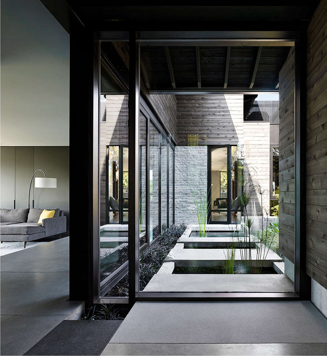 The courtyard garden, newly visible from the front door. In the house