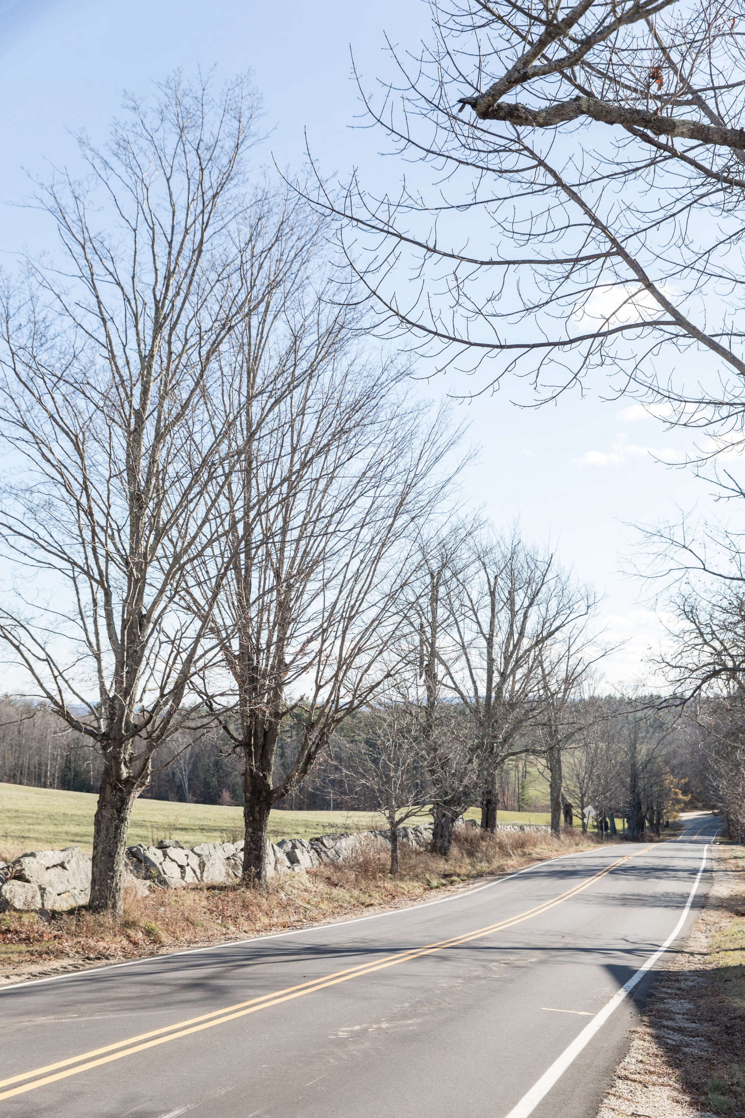 When it comes to building the foundations of a garden, take this lesson from the Shakers: do it once and do it right. Their famous stone walls, more often employed than wooden fences, are more stable and permanent, particularly when made of the massive boulders so readily available nearby Canterbury, in New Hampshire.