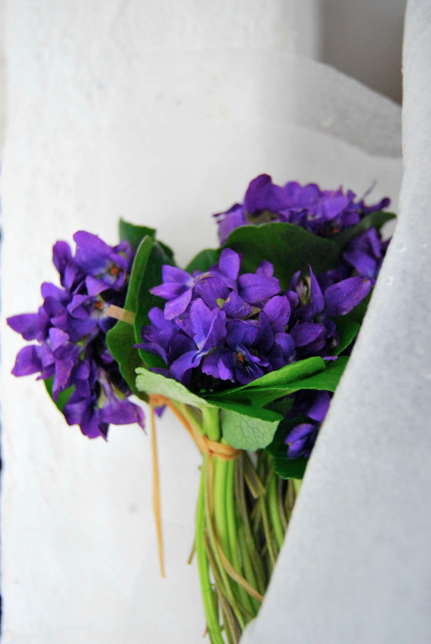 The little bundles are so sweet to have around the house, or to offer as a gift.